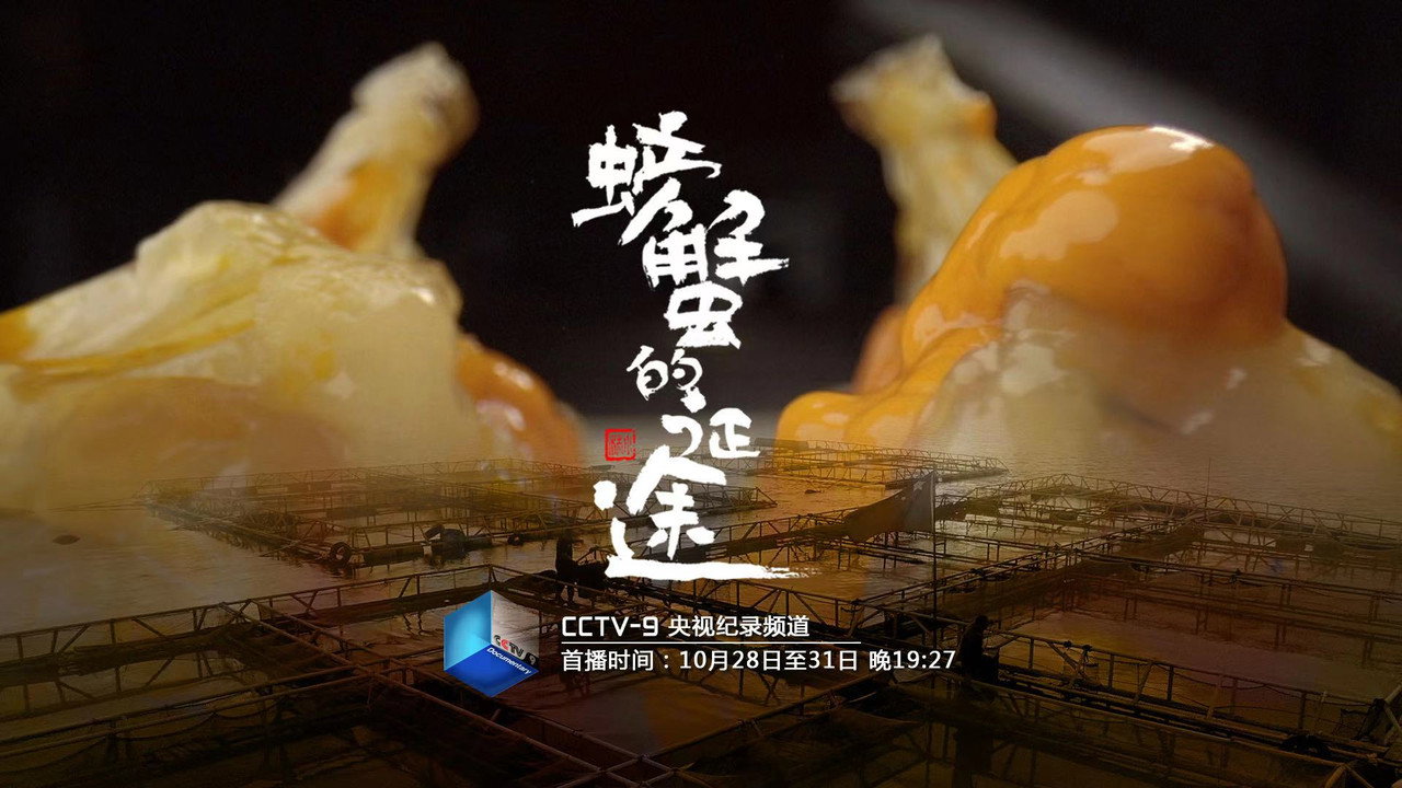 螃蟹的征途剧照
