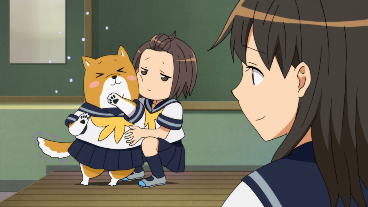 柴犬子剧照