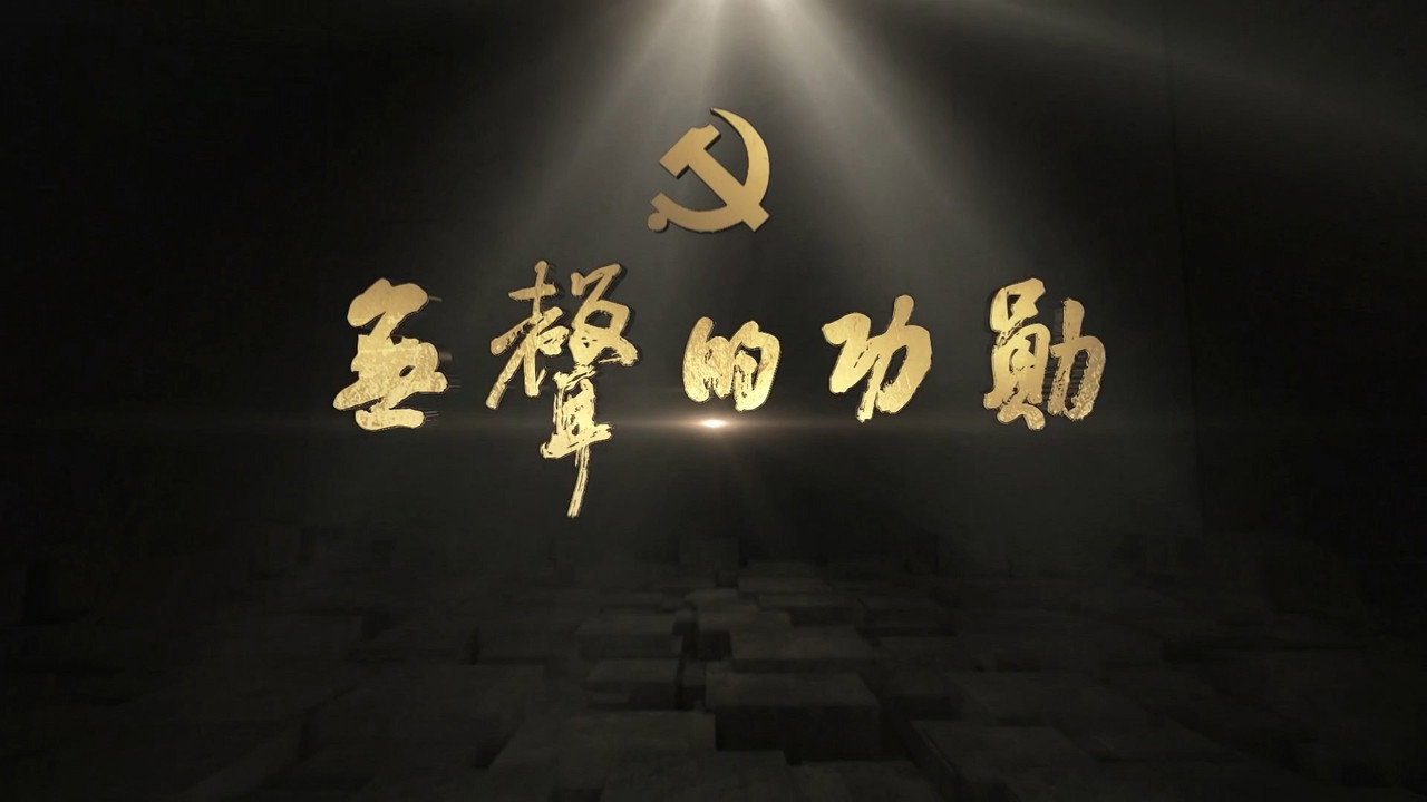 无声的功勋剧照