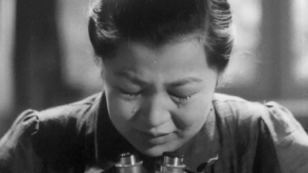 最美剧照