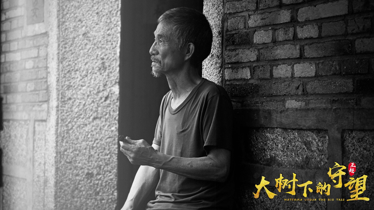 大树下的守望剧照