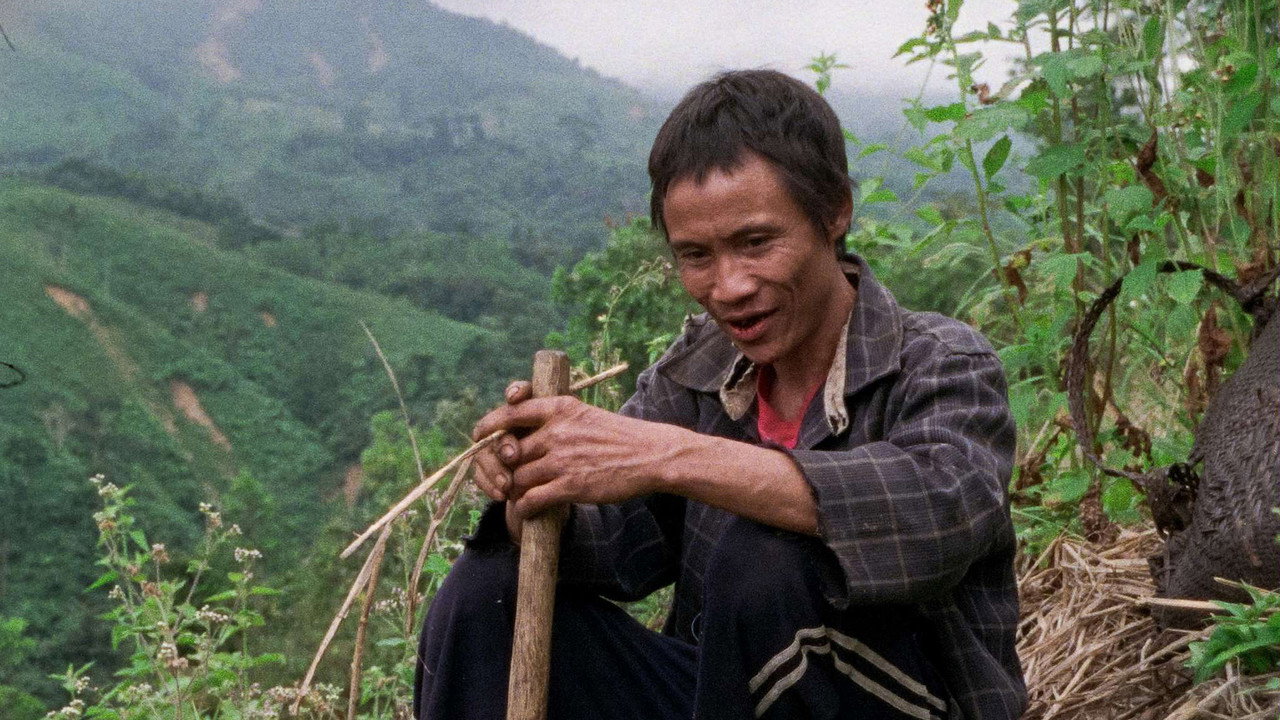 树房子剧照
