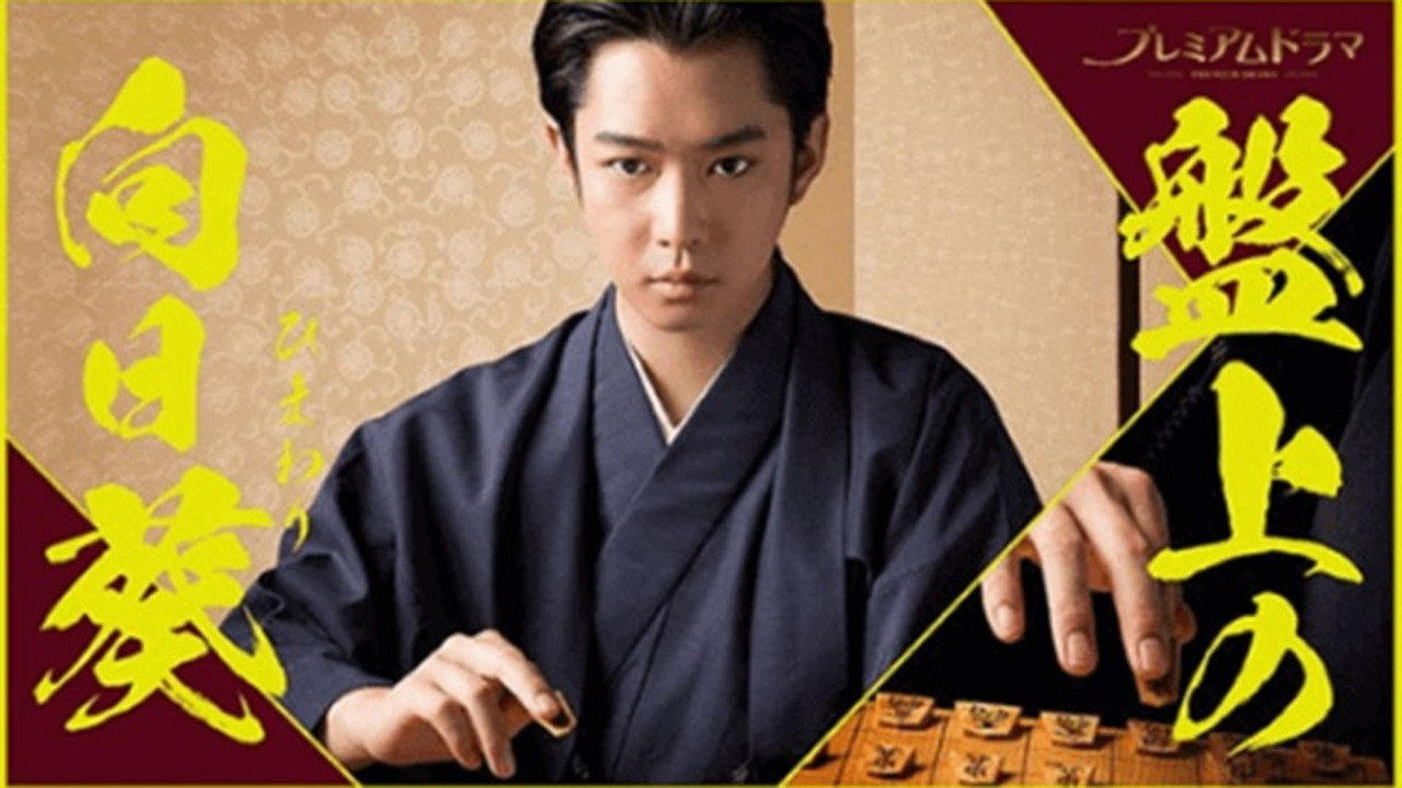 棋盘上的向日葵剧照