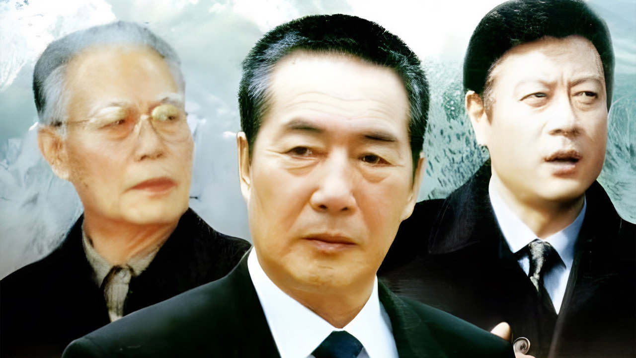 省委书记剧照