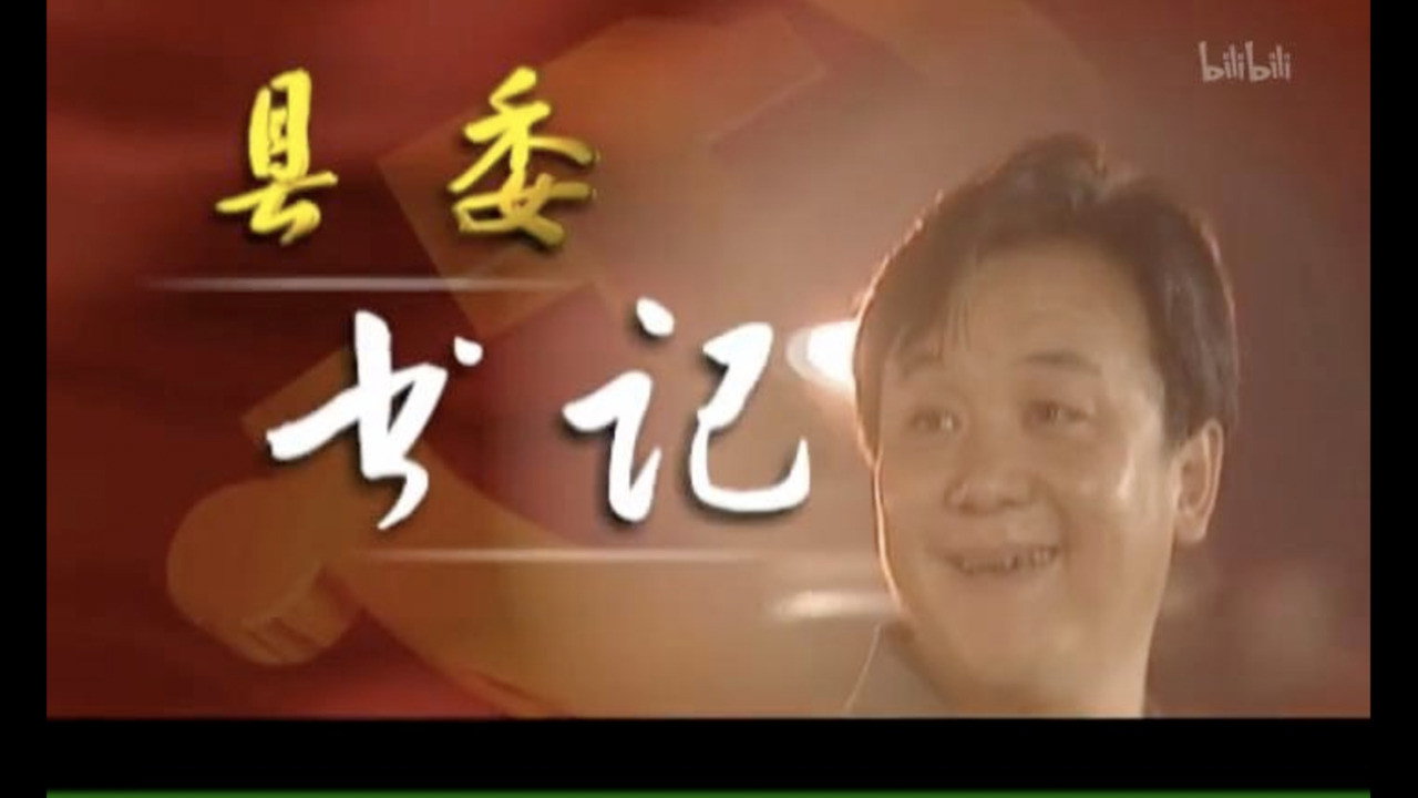 县委书记剧照