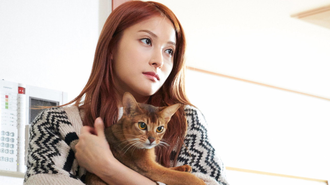 如何与我的猫分手剧照