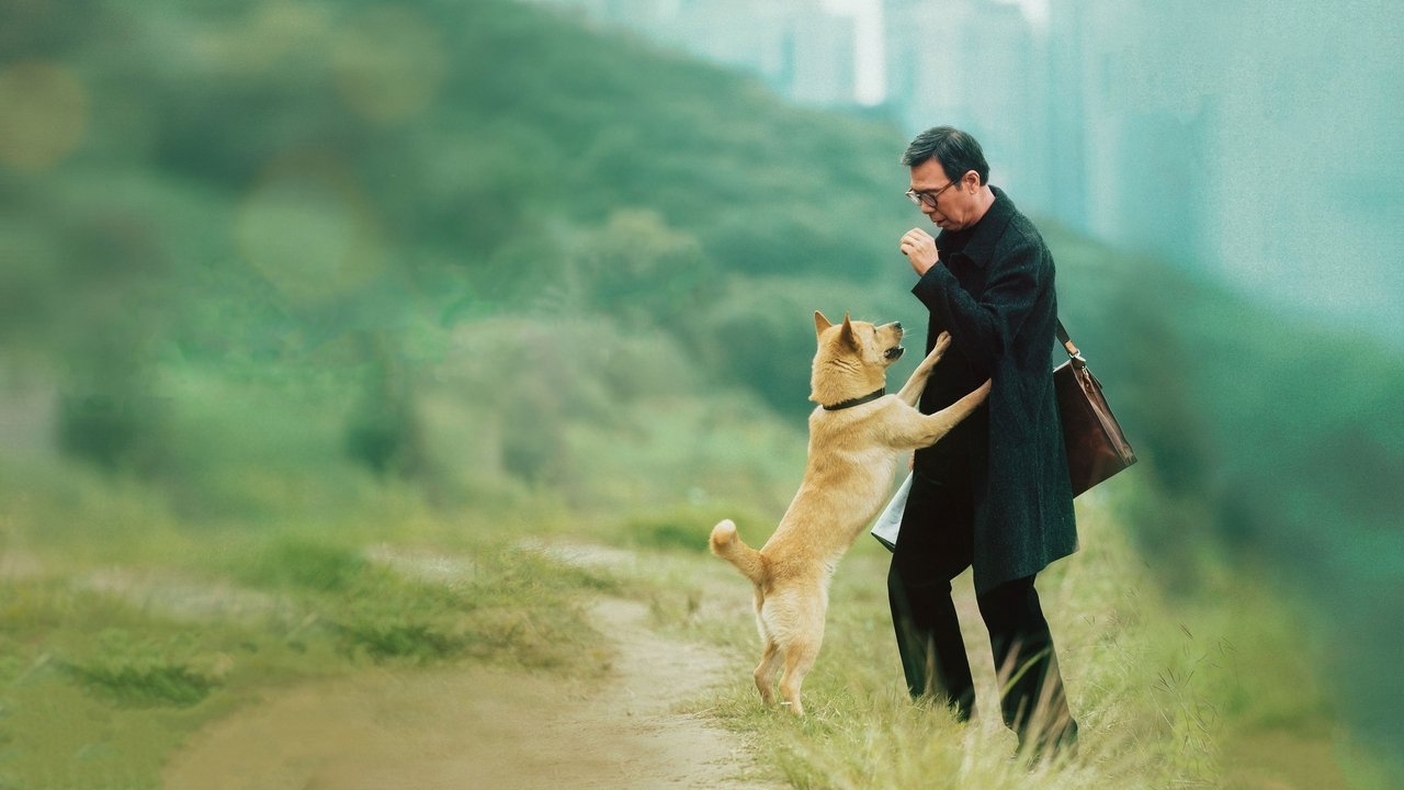 忠犬八公剧照