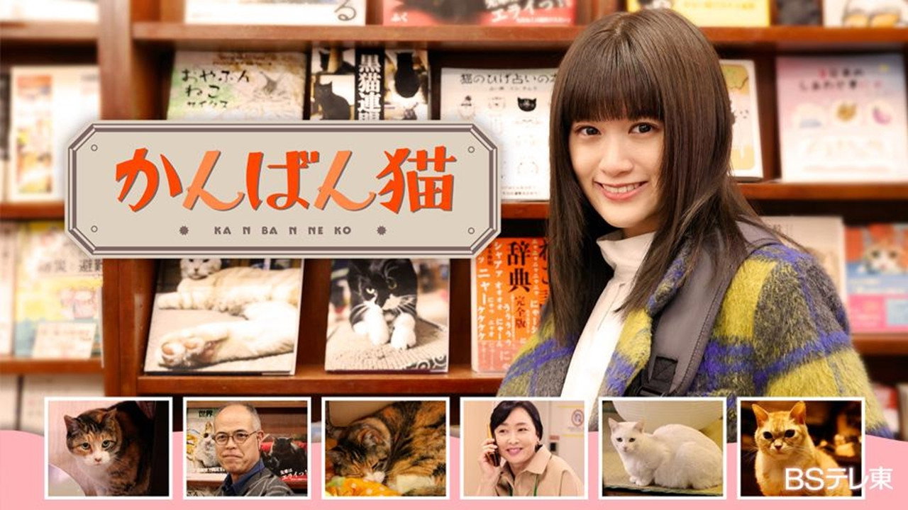 看板猫剧照
