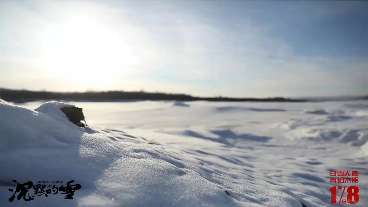 沉默的雪剧照