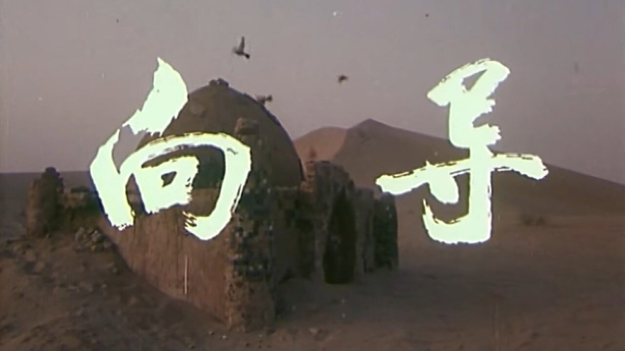 向导剧照
