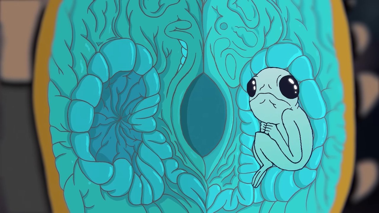 拾荒者剧照