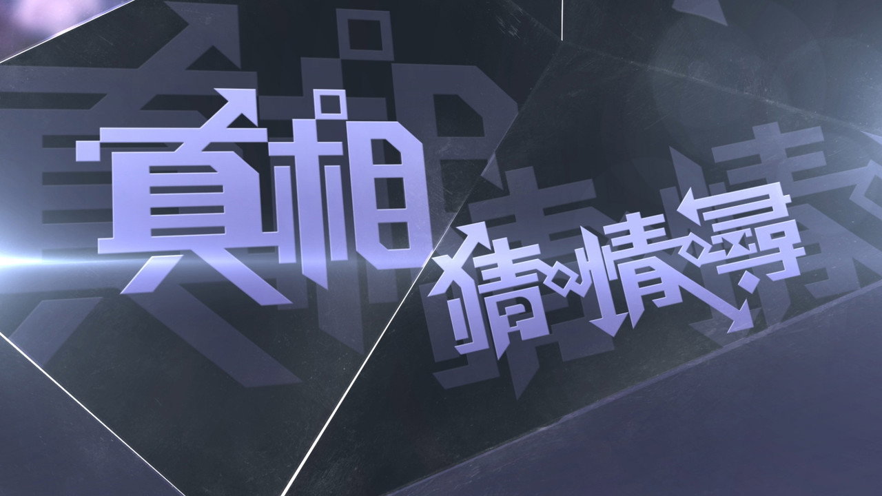 真相猜•情•寻剧照