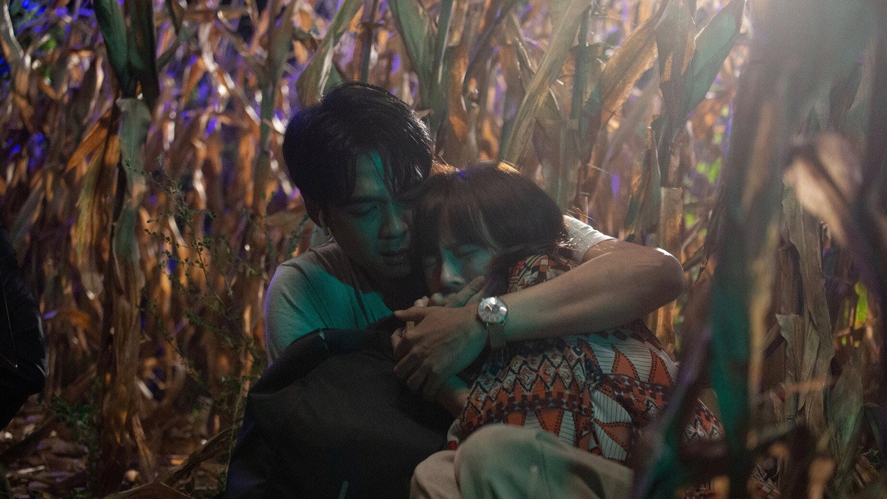 无惧之爱剧照