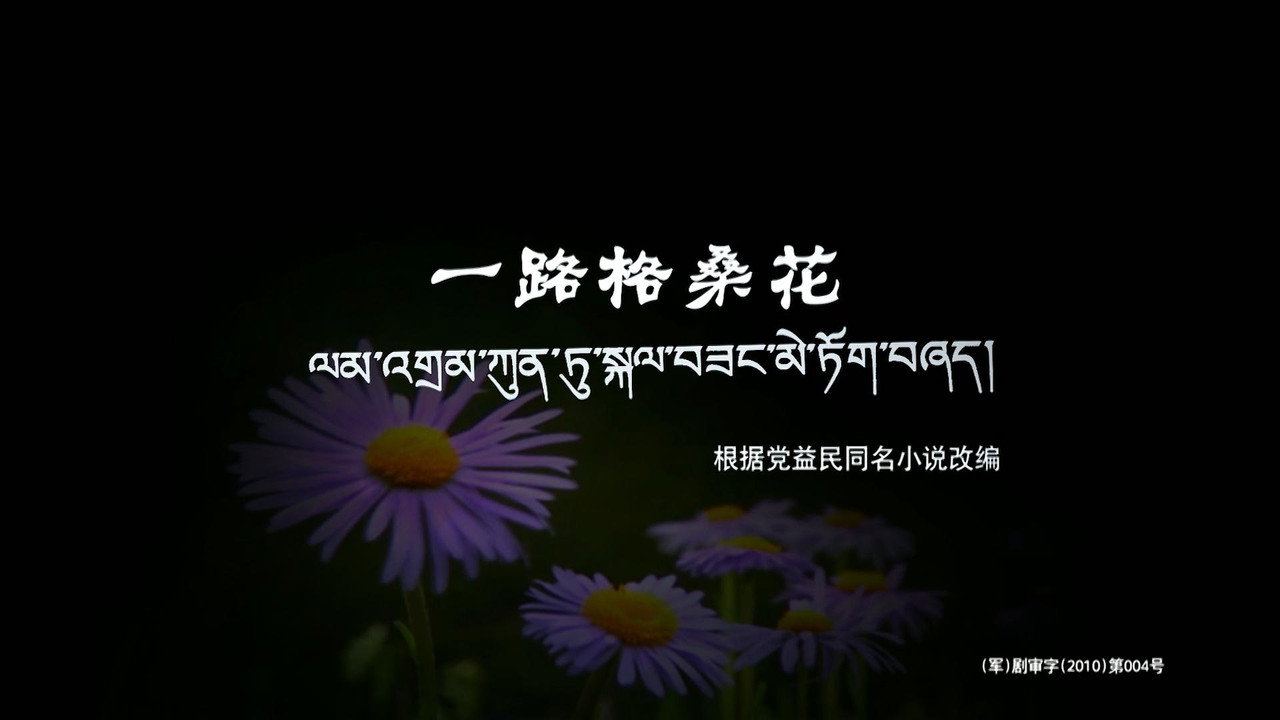 一路格桑花剧照