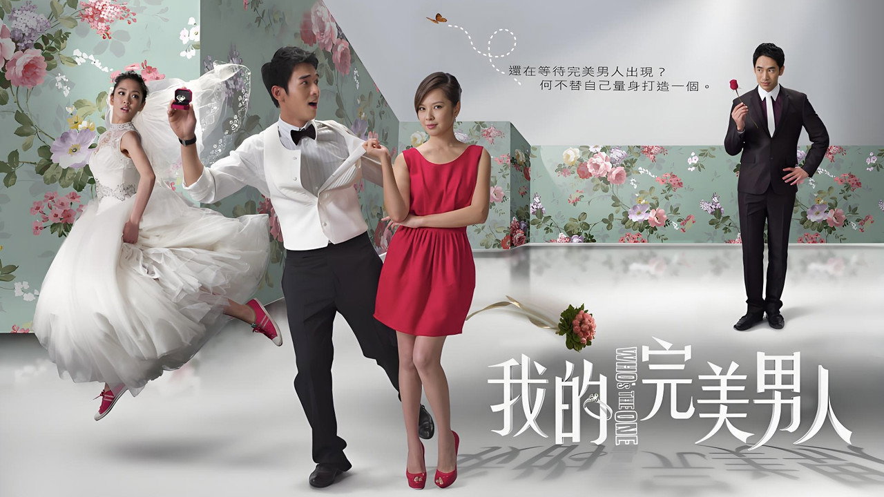 我的完美男人剧照
