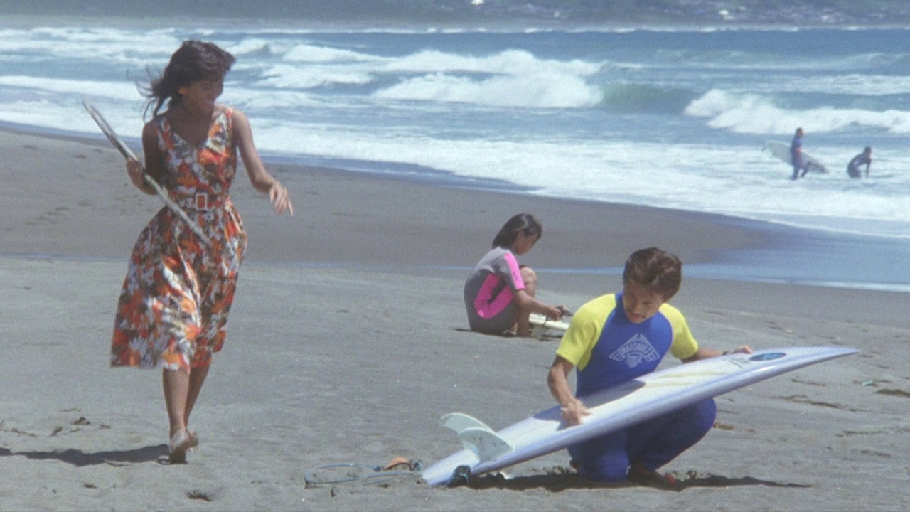 拥抱波浪剧照