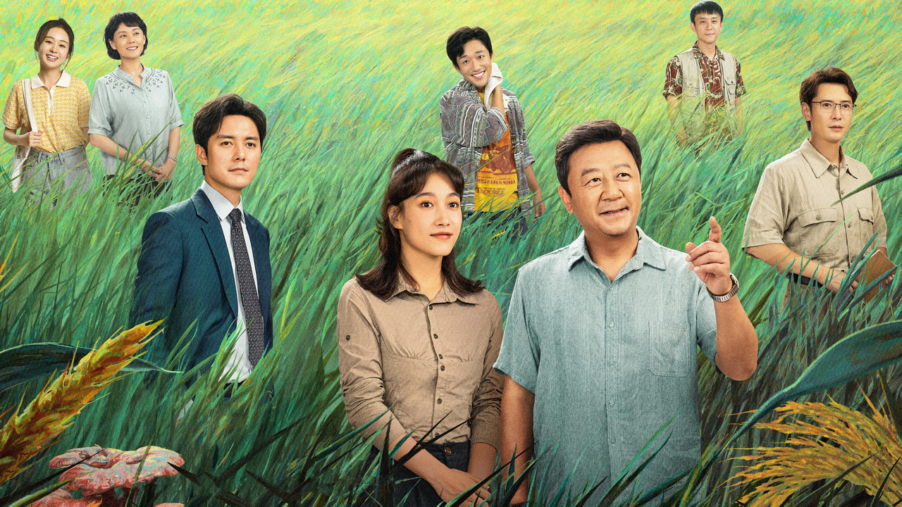 幸福草剧照