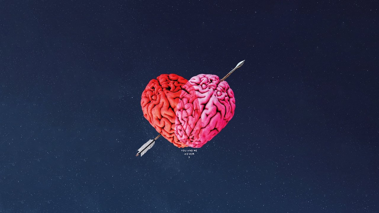 爱的透视图剧照