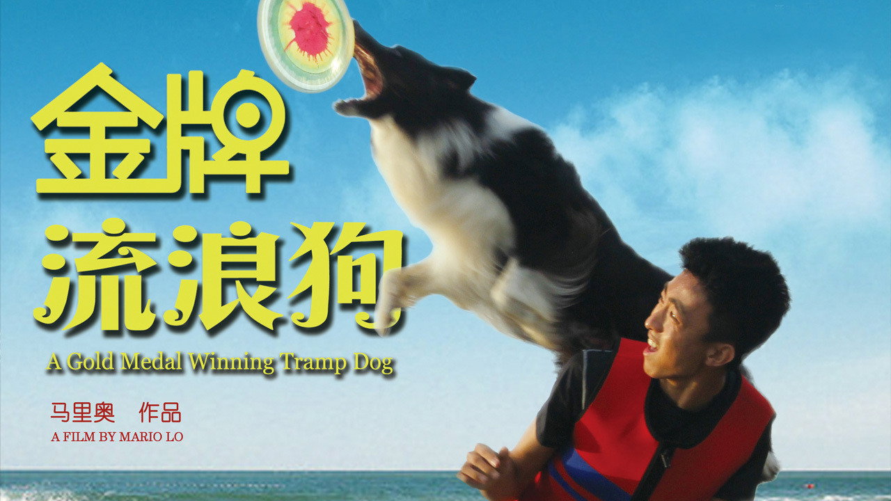 金牌流浪狗剧照