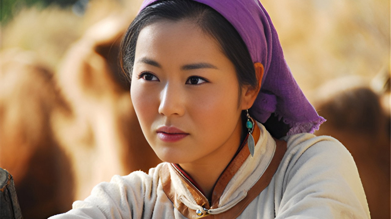关中女人剧照