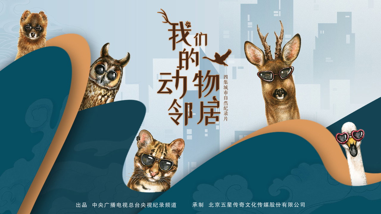我们的动物邻居剧照