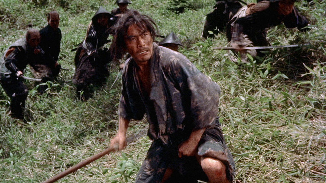 宫本武藏剧照