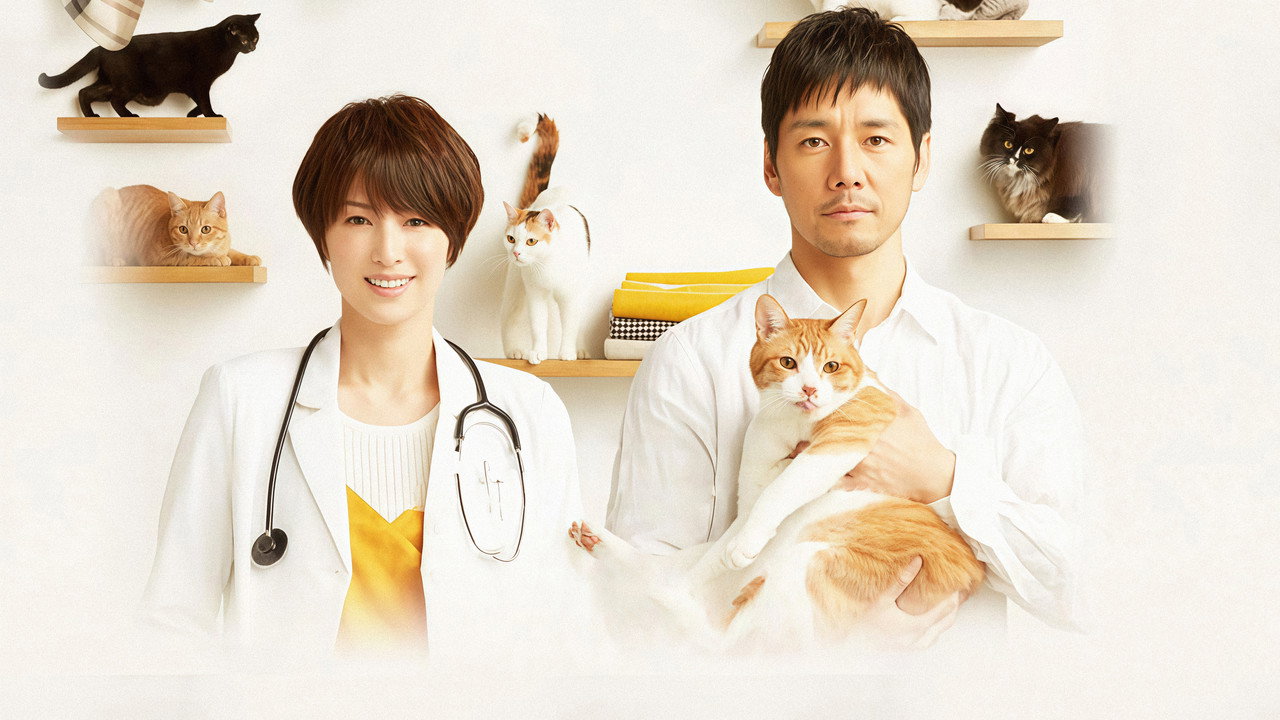 毛毯猫剧照