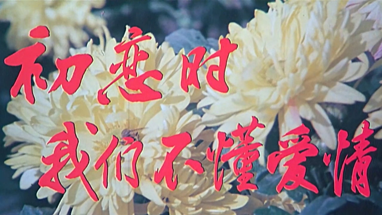 初恋时我们不懂爱情剧照