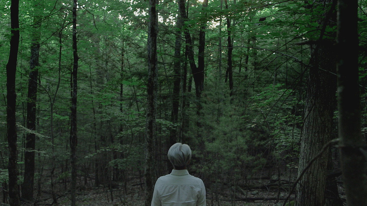 坂本龙一：终曲剧照