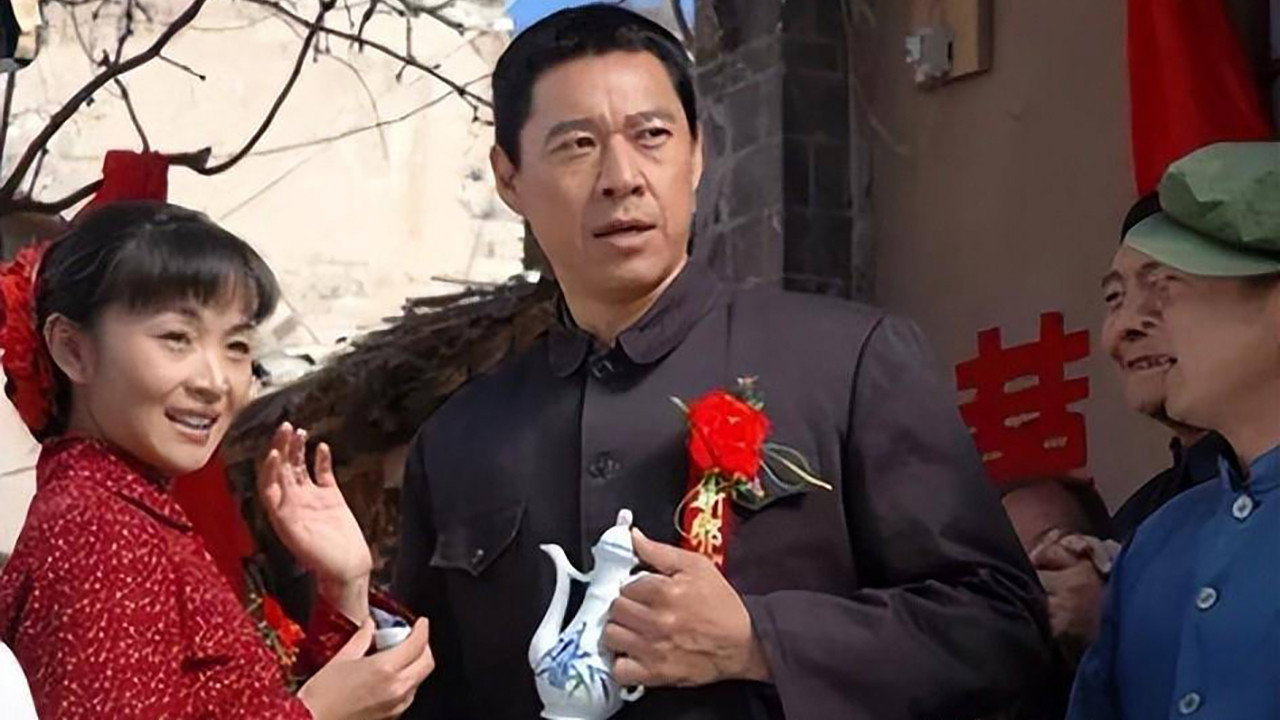 上门女婿剧照