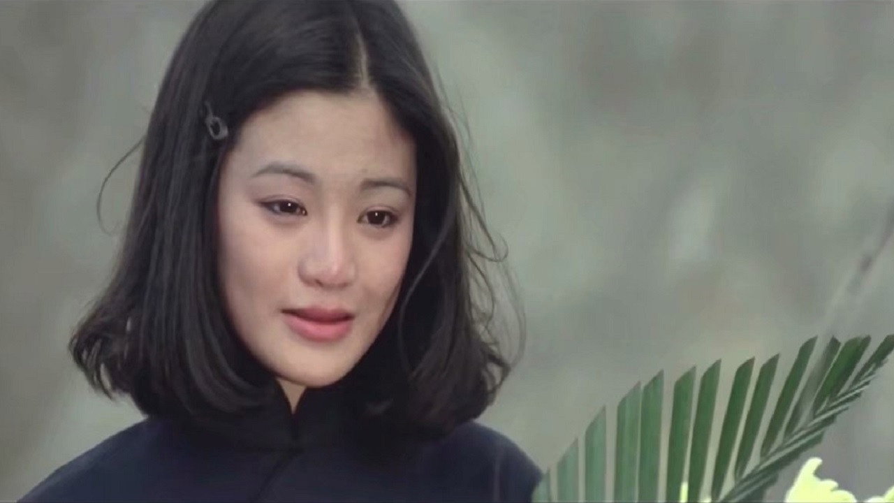 梅花剧照