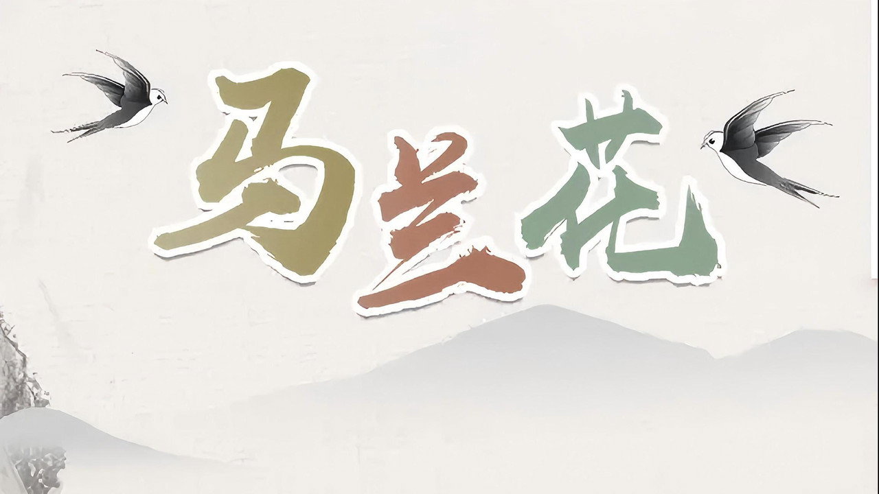马兰花剧照