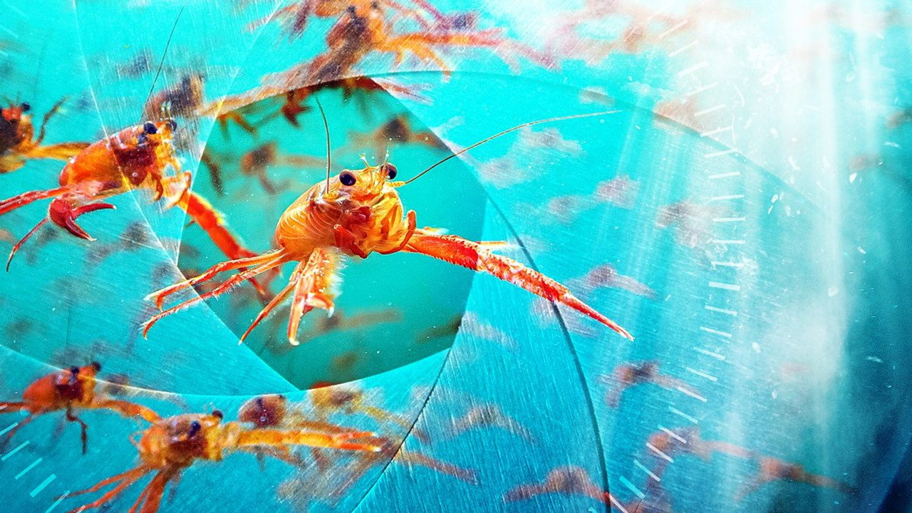 海洋间谍剧照