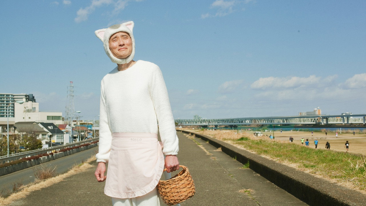 今日的猫村小姐剧照