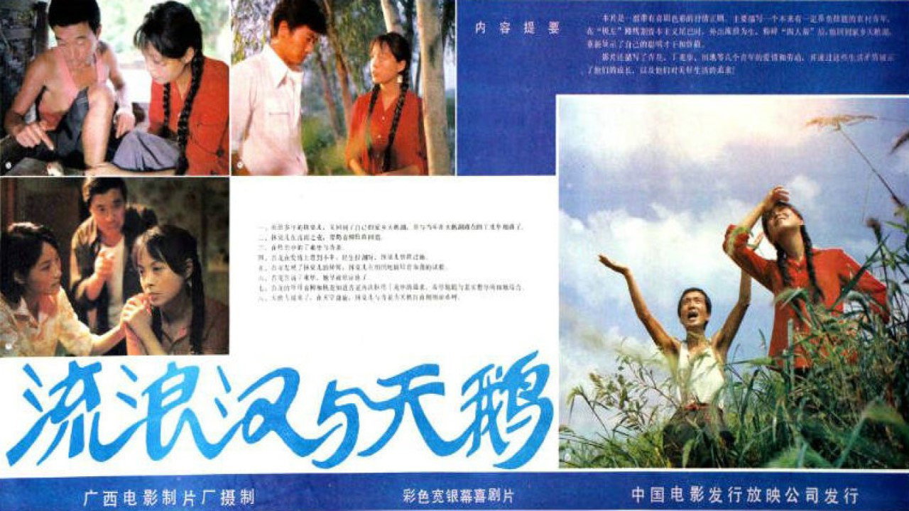 流浪汉与天鹅剧照
