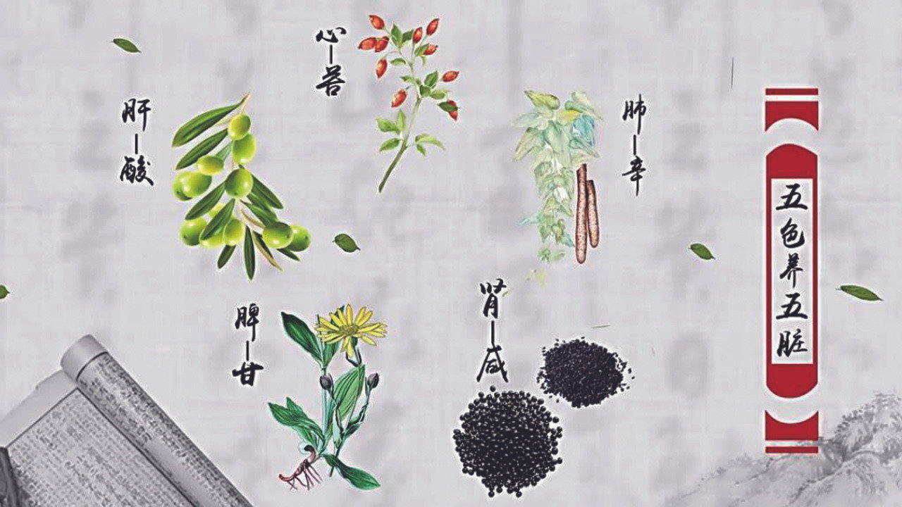 本草中国剧照