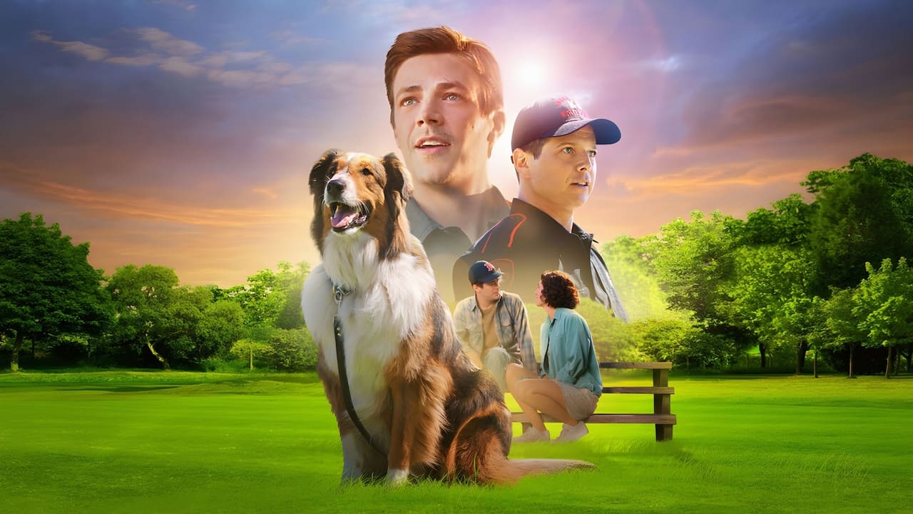 义犬救主剧照