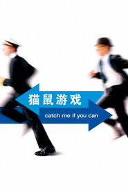 猫鼠游戏海报