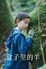 盒子里的羊海报