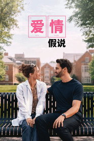 爱情假说海报