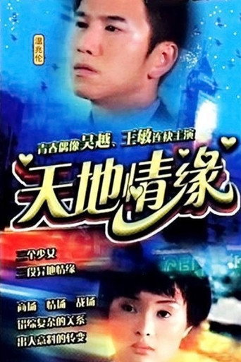 天地情缘海报