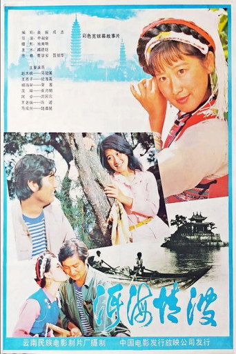 洱海情波海报