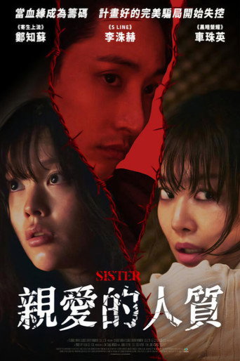 姐妹海报