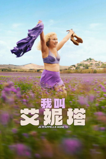 我叫艾妮塔海报