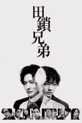 田锁兄弟海报