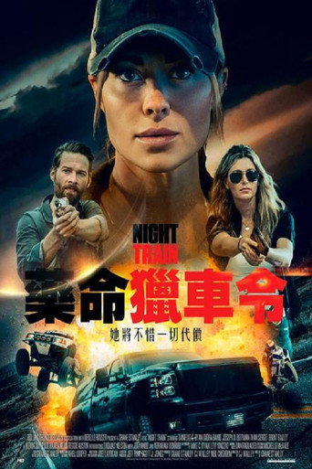 夜车海报