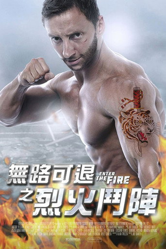 火拳快影海报