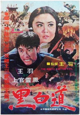 黑白道海报