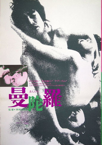 曼陀罗海报