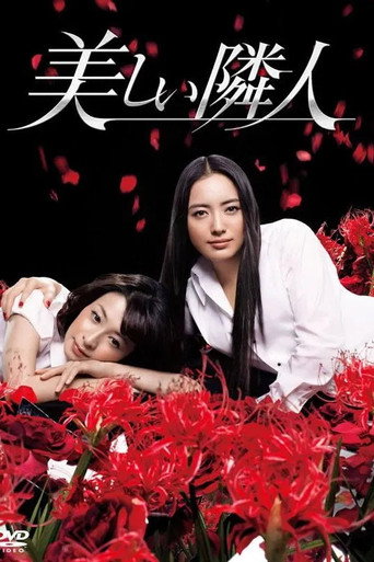 邻家美人海报